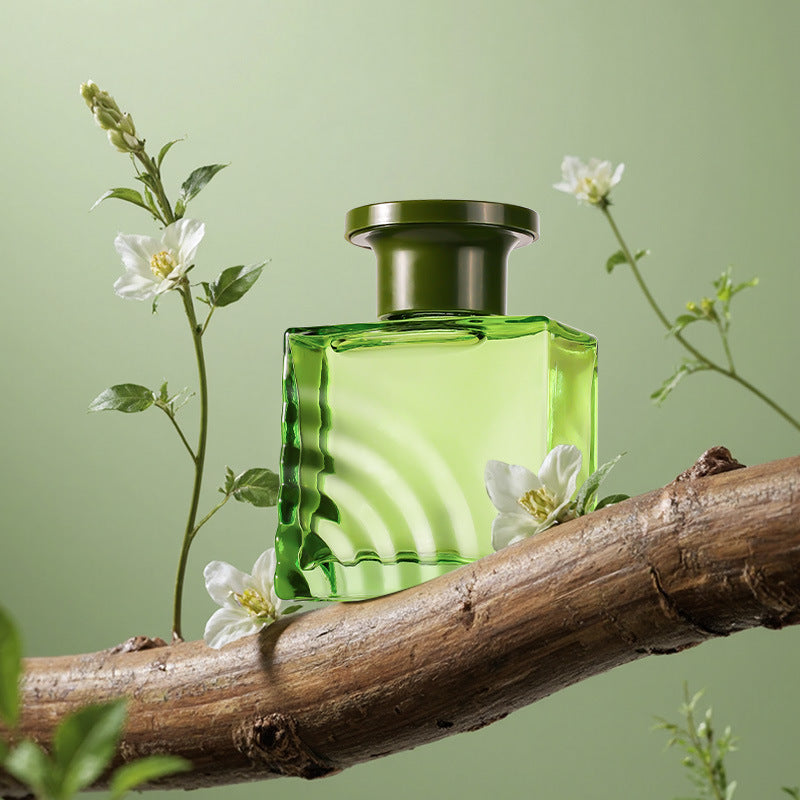 Different Flower Season Longjing Tea Rattan Diffuser