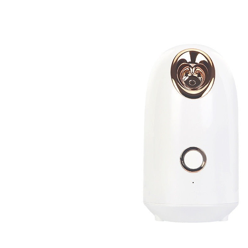 Hot Spray Nano Facial Steamer Hydrating Beauty Instrument